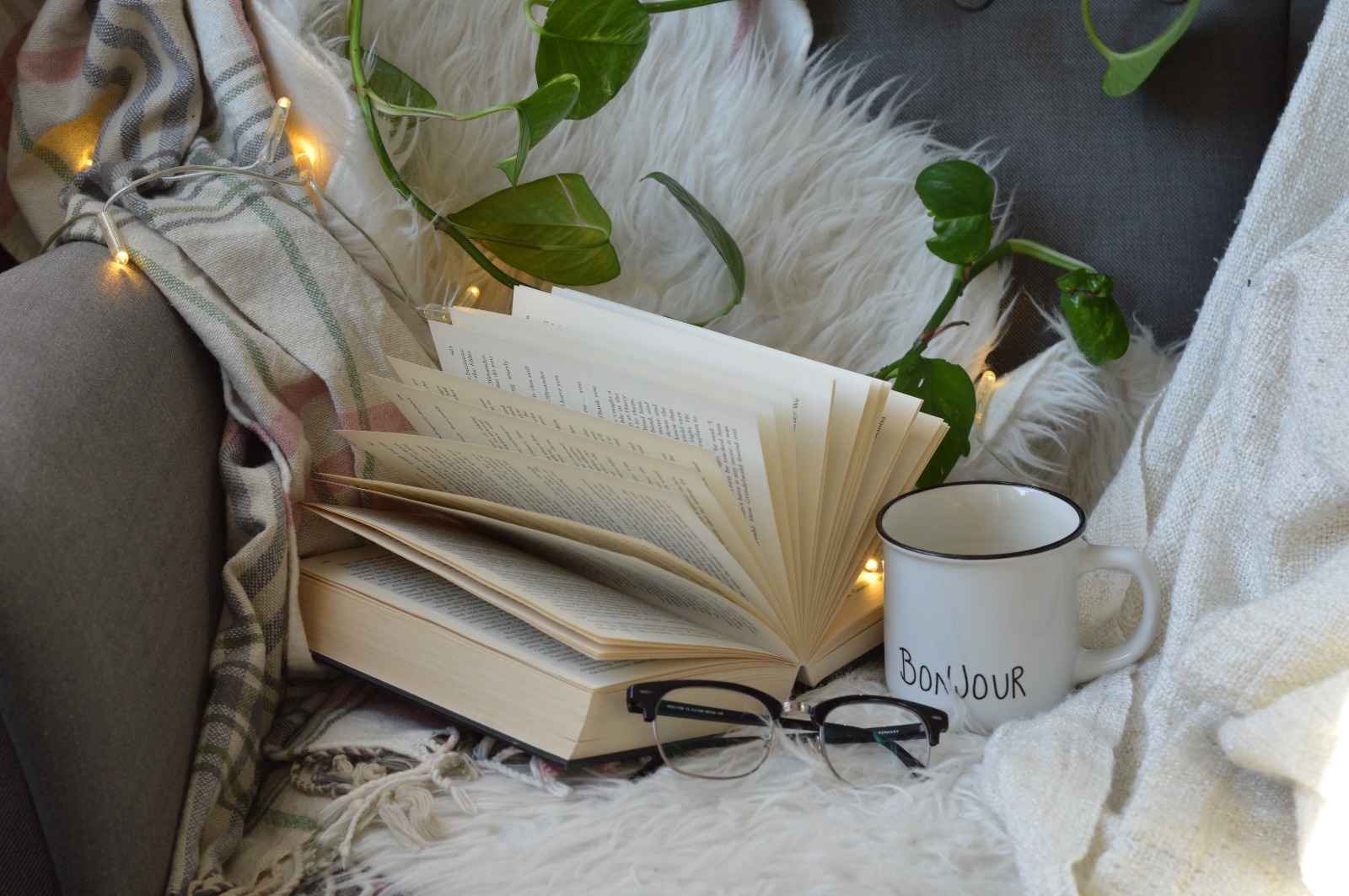 Discover the Magic of Fire Demon: Rayne’s Legacy Series Book One