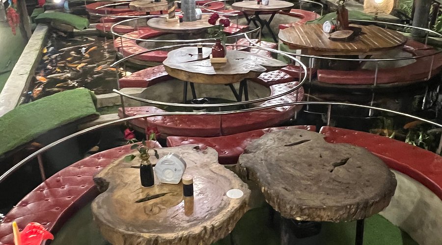 What to Expect When Visiting a Kratom Cafe Chiang Mai